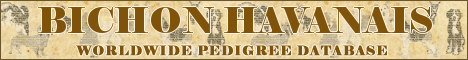 DogsFiles.com - databases of all dog's breeds.