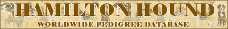 DogsFiles.com - databases of all dog's breeds.