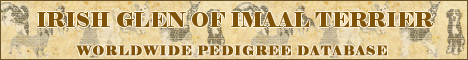 DogsFiles.com - databases of all dog's breeds.