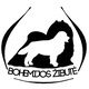 Bohemijos zibute