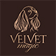 Velvet Magic